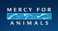 Click to learn more about Mercy for Animals