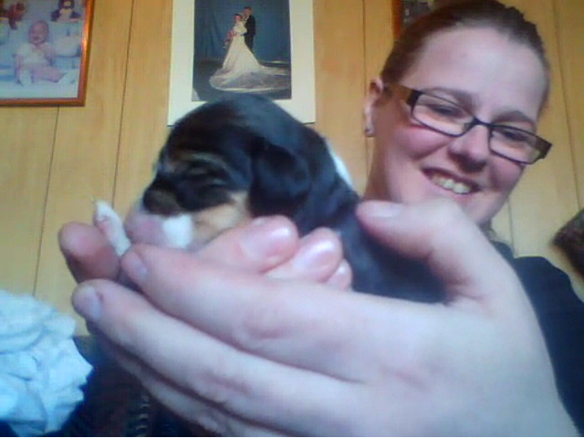 Puppy Ally Ford